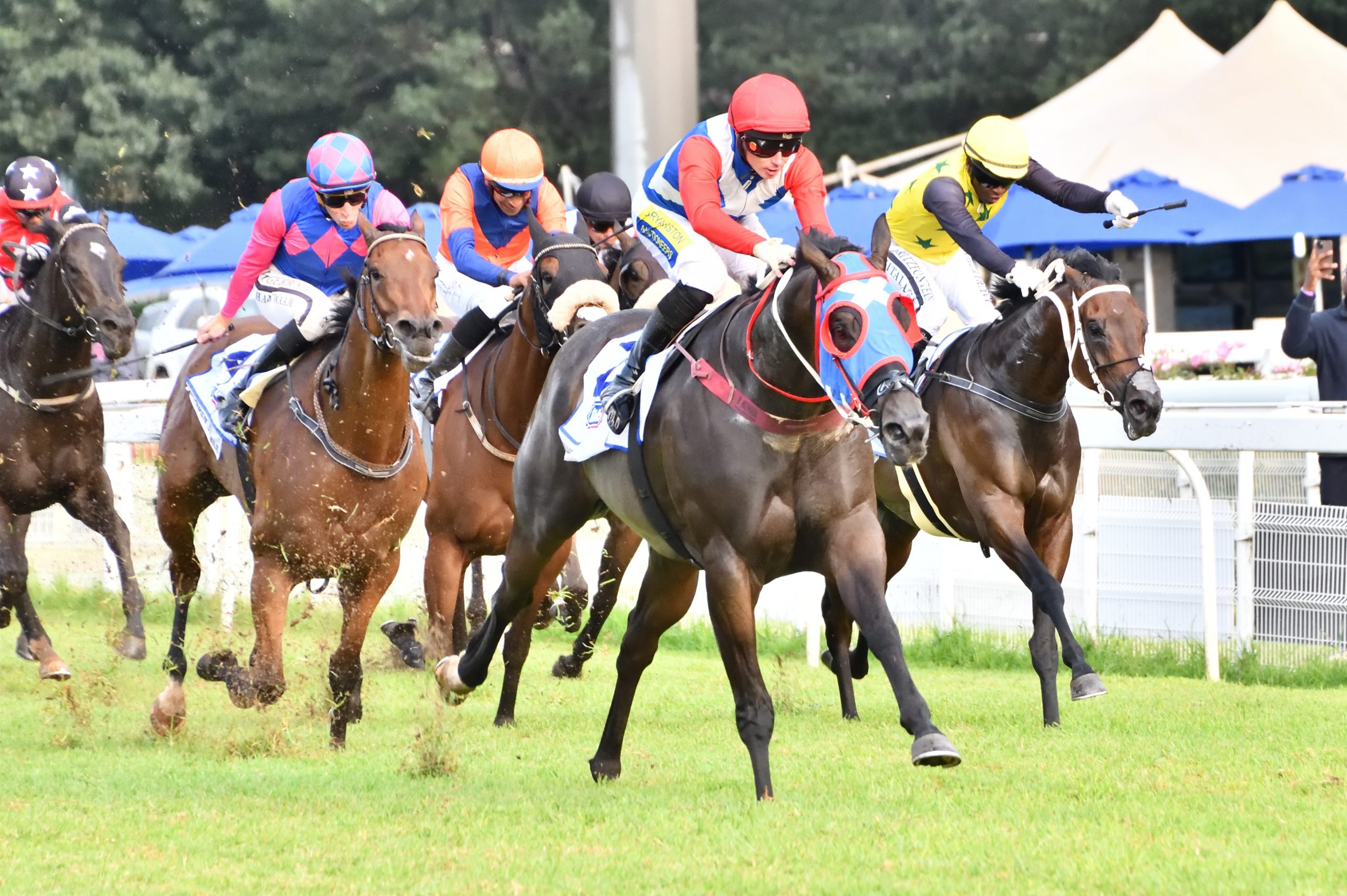 14! Rafeef’s soldier son William Robertson sets up a date in the Computaform Sprint with a top win on Saturday (Pic - JC Photos)