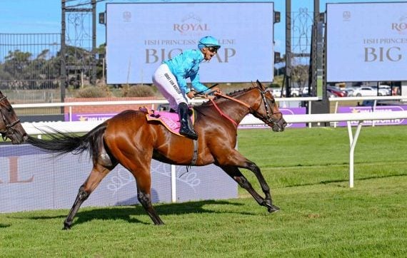 After the storm! Grant van Niekerk and All Out For Six bank the big bucks (Pic - Chase Liebenberg)