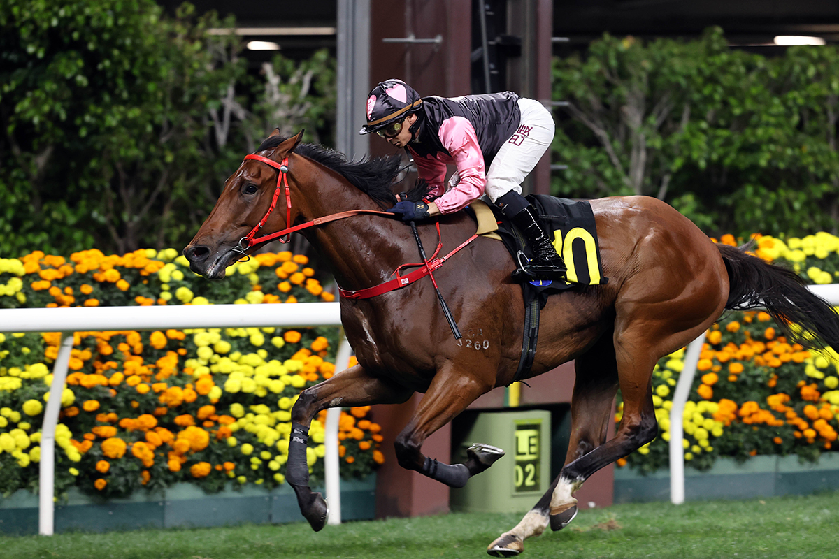 Beauty Alliance bolts in at Happy Valley (Pic - HKJC)