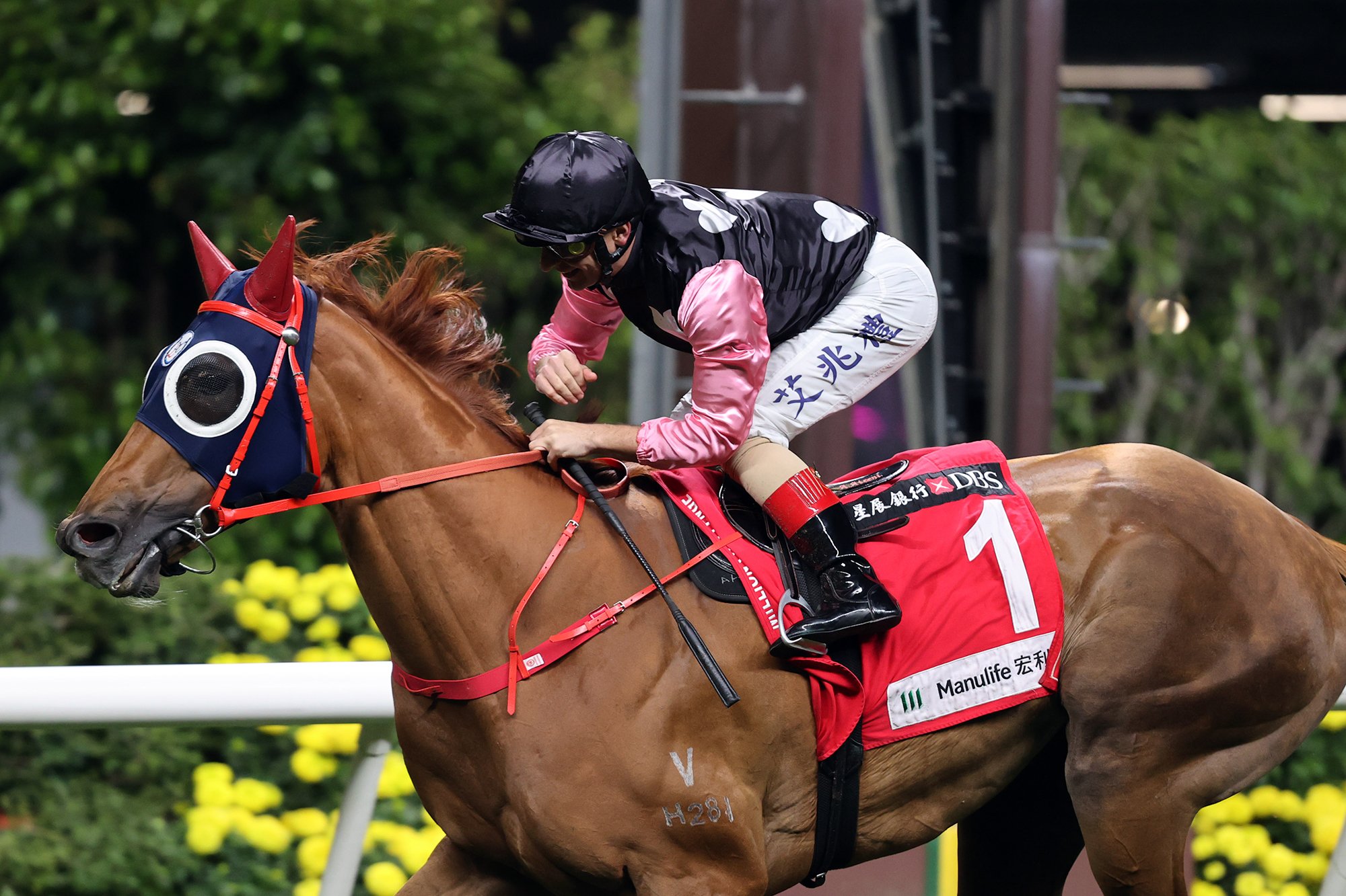 Beauty Destiny continues to lift his game at Happy Valley (Pic - HKJC)