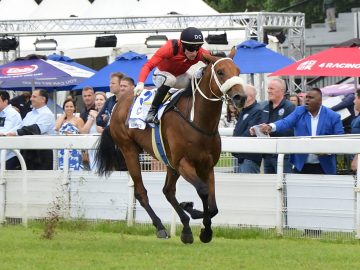 Confederate (Craig Zackey) gives sire Fire Away his maiden Gr1 success (Pic - JC Photos)