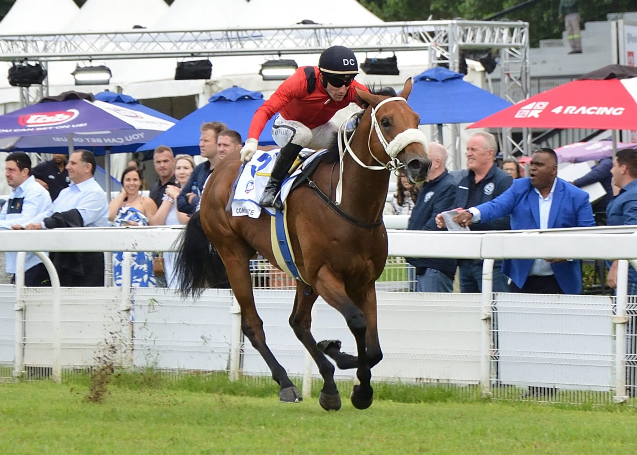 Confederate (Craig Zackey) gives sire Fire Away his maiden Gr1 success (Pic - JC Photos)