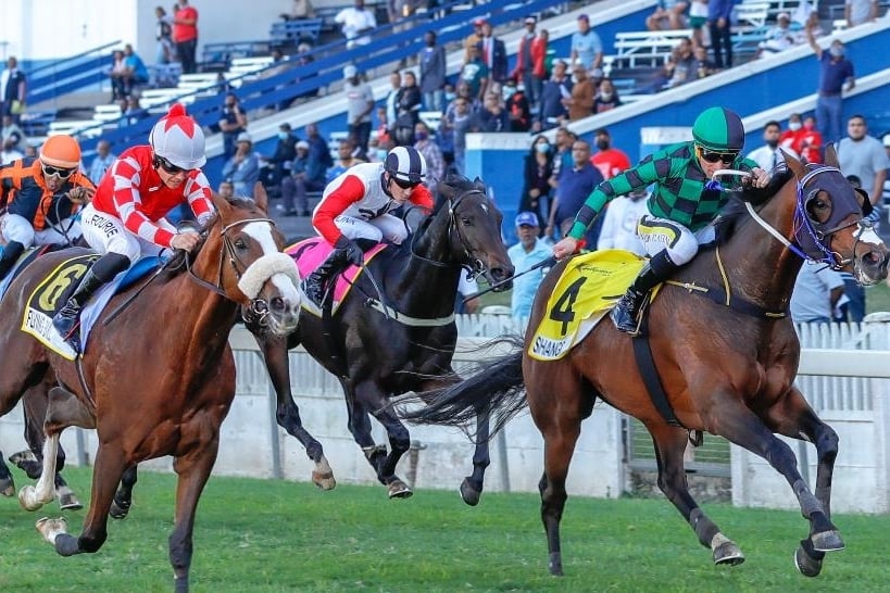 Fiery Pegasus’ brother Shango wins the Lonsdale in 2022 under Richard Fourie (Pic - Candiese Lenferna)