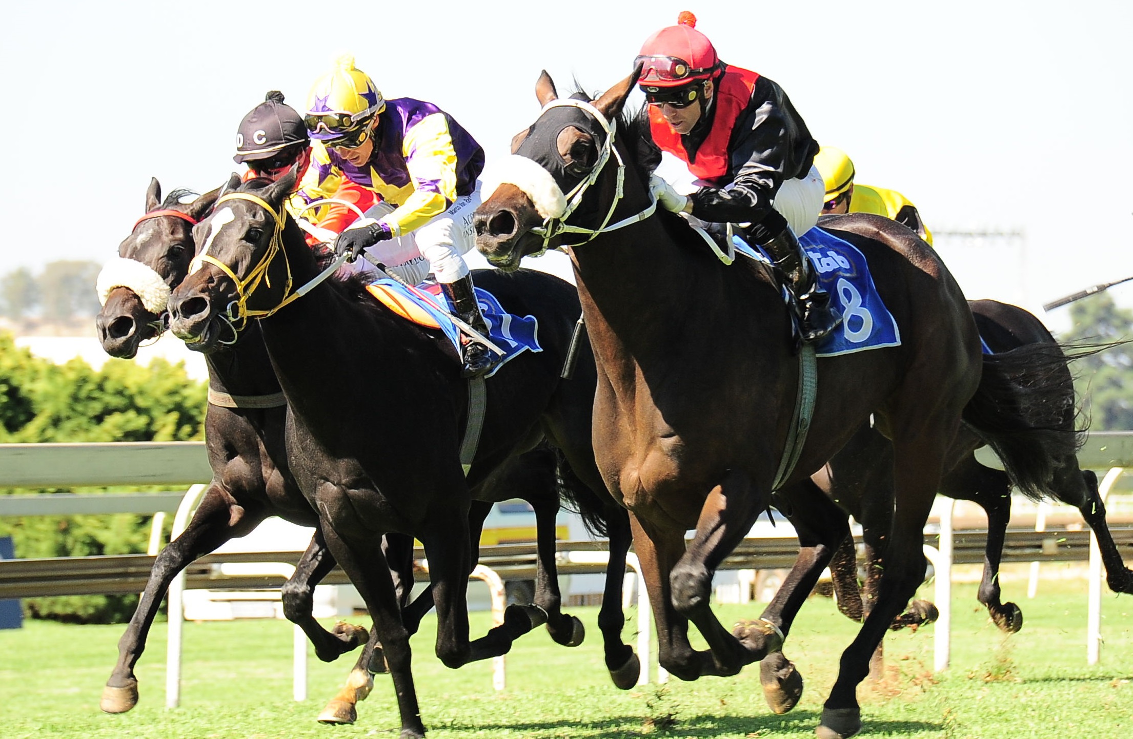 Flashback to 2013 - Fransie Herholdt drives Tuscan Lass up in the red and black silks to win the then Listed Oaks Trial (Pic - Supplied)