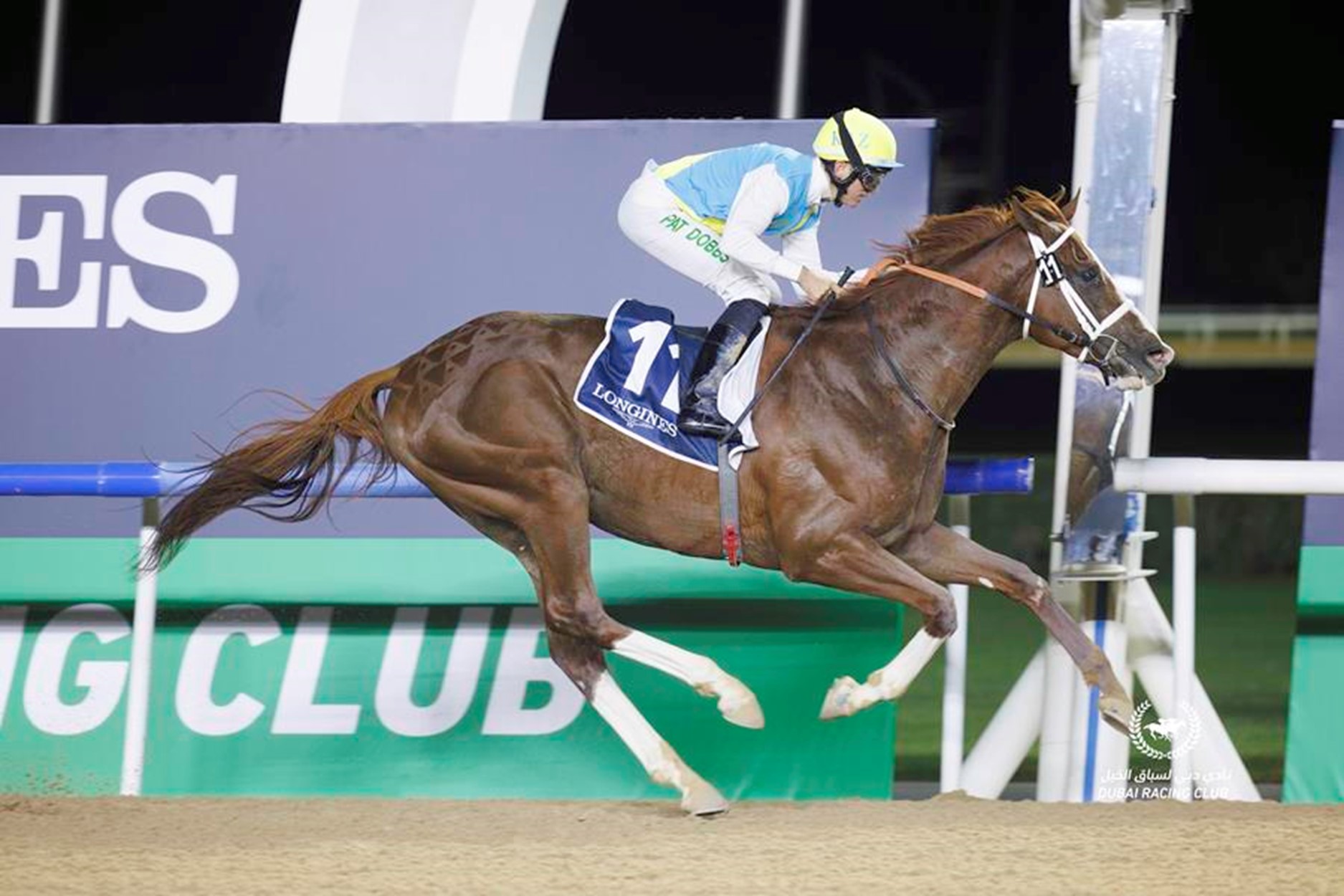 Kabirkhan aims to bounce back in the Gr1 Al Maktoum Challenge (Pic - DRC)