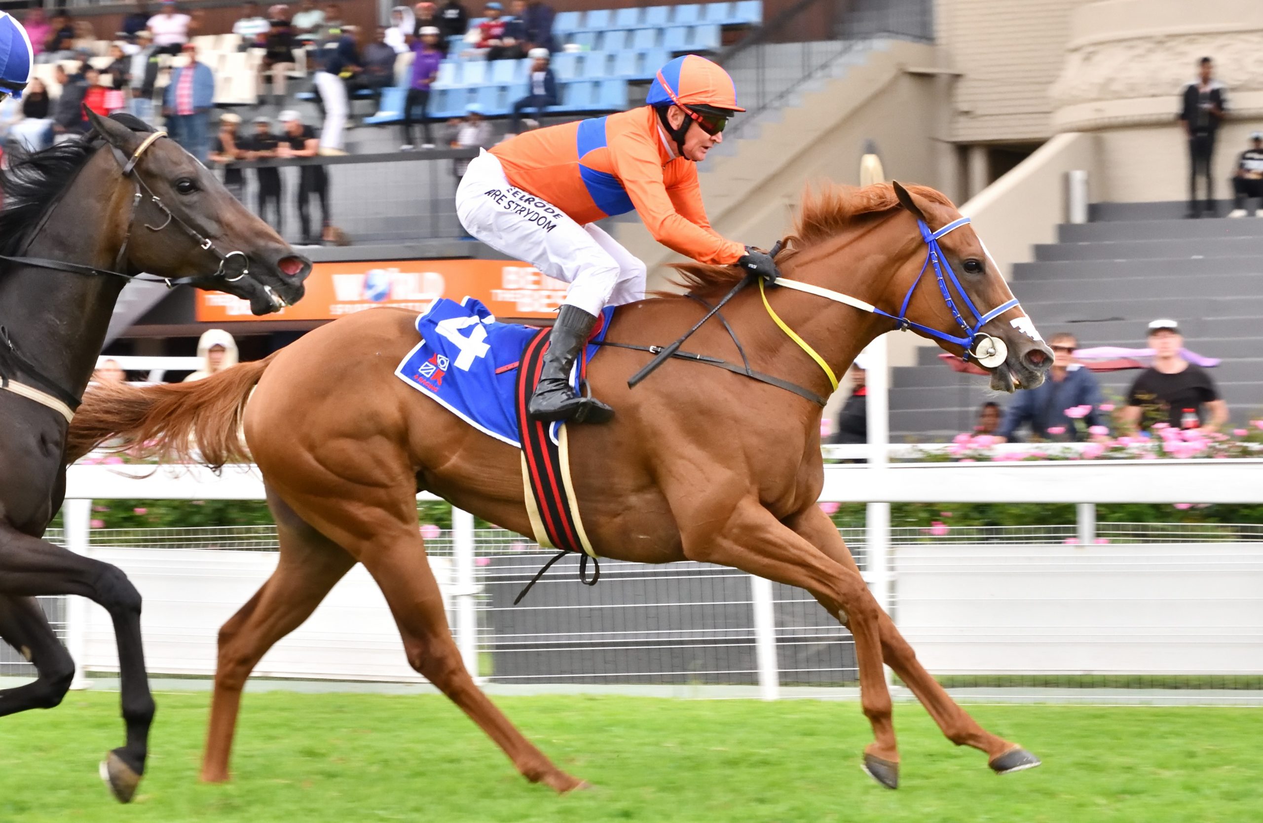 Mia Moo (Piere Strydom) registered her maiden stakes at her first run since returning from her Cape Summer campaign (Pic - JC Photos)