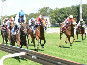 Muzi Yeni has Poplar Park in a rampant mood as she wins last Saturday’s Oaks Trial (Pic - JC Photos)