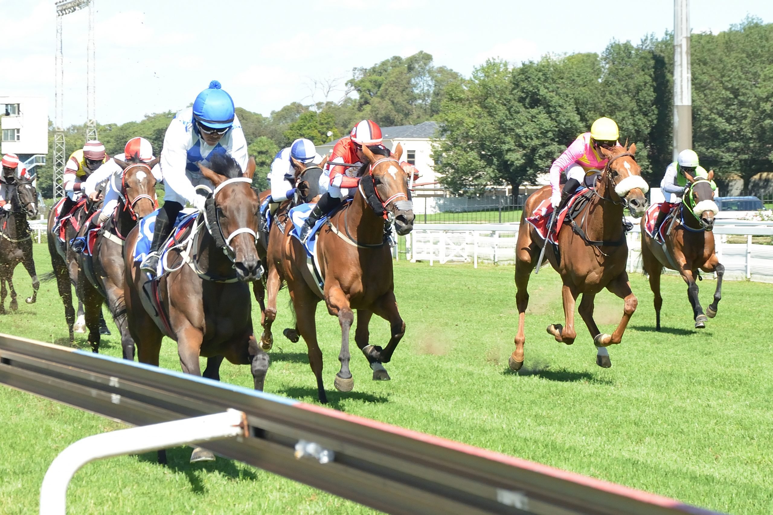 Muzi Yeni has Poplar Park in a rampant mood as she wins last Saturday’s Oaks Trial (Pic - JC Photos)