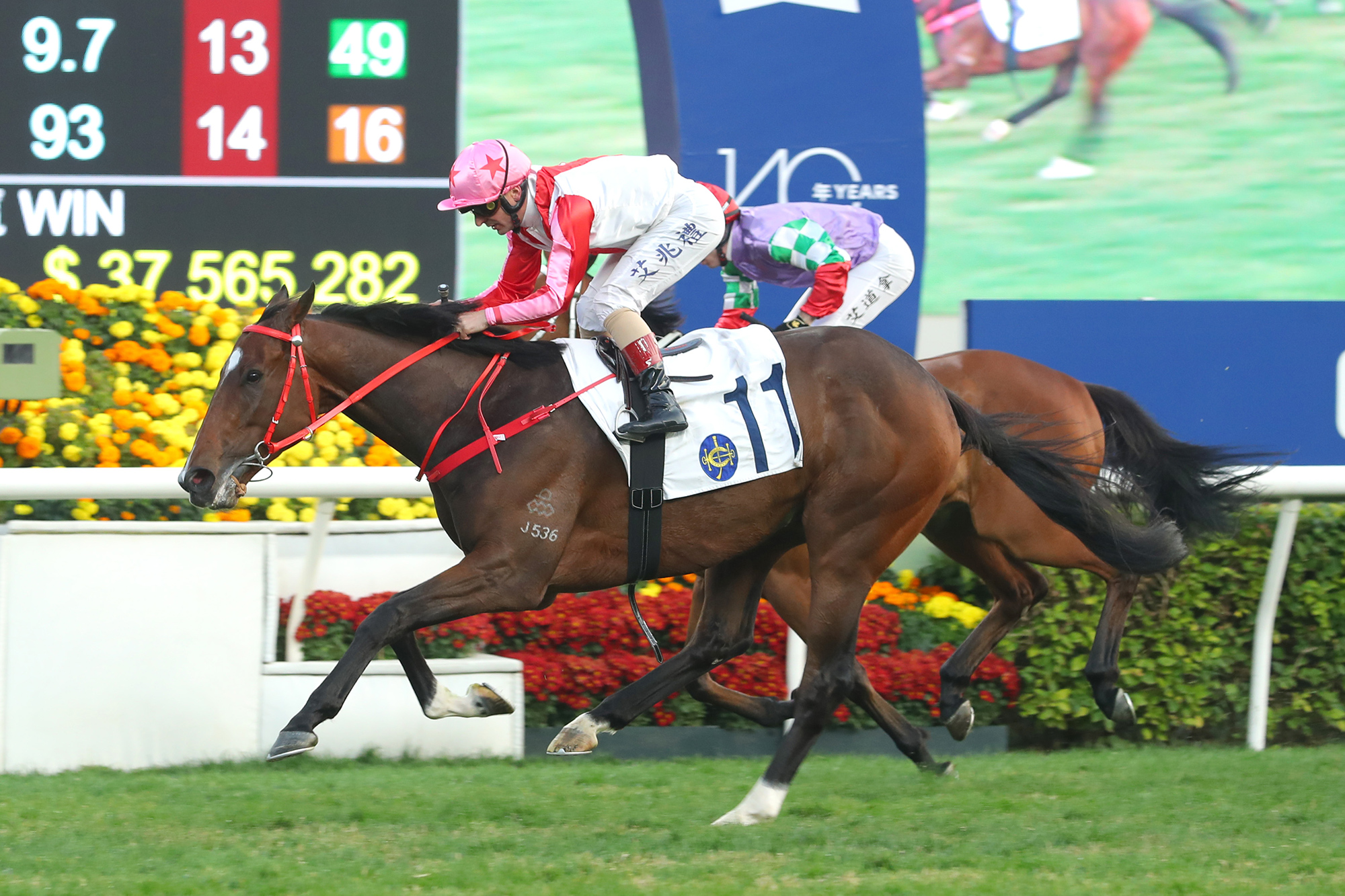 Noisy Boy is a two-time winner in Hong Kong (Pic - HKJC)