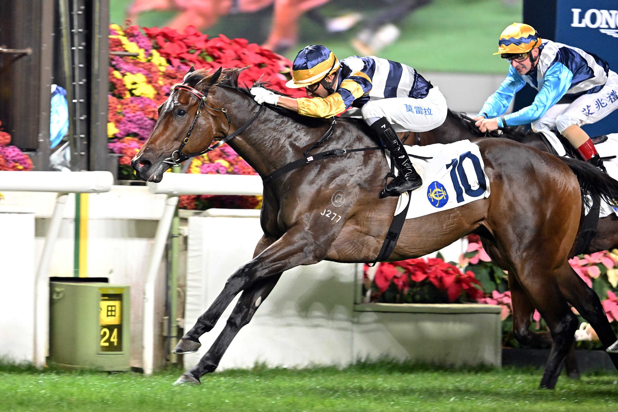 Packing Hermod has won four races in Hong Kong (Pic - HKJC)