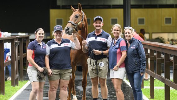 Pinatubo colt tops the second day at the 2025 Magic Millions Gold Coast March Yearling Sale (Pic - Magic Millions)