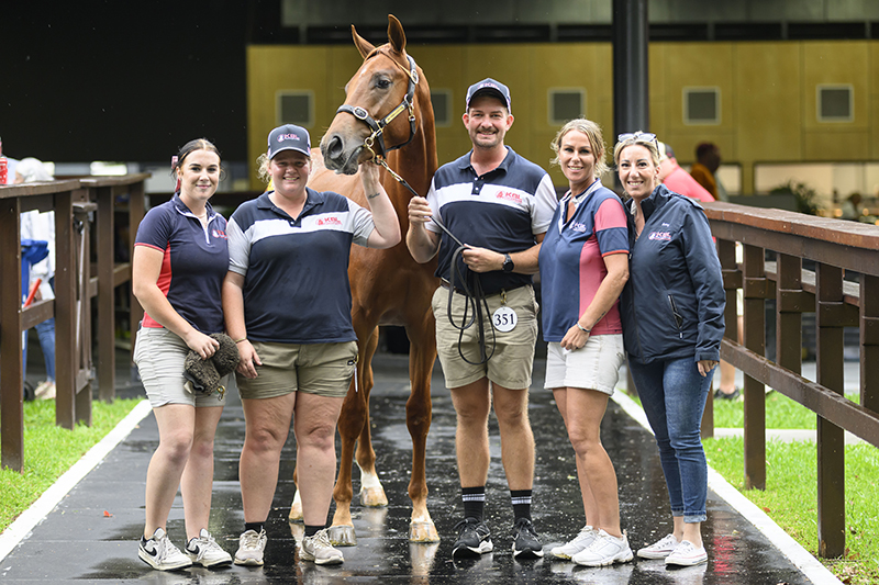 Pinatubo colt tops the second day at the 2025 Magic Millions Gold Coast March Yearling Sale (Pic - Magic Millions)