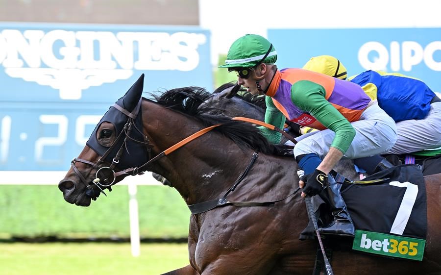 Quinault winning at Ascot (Pic - Ascot Racecourse)