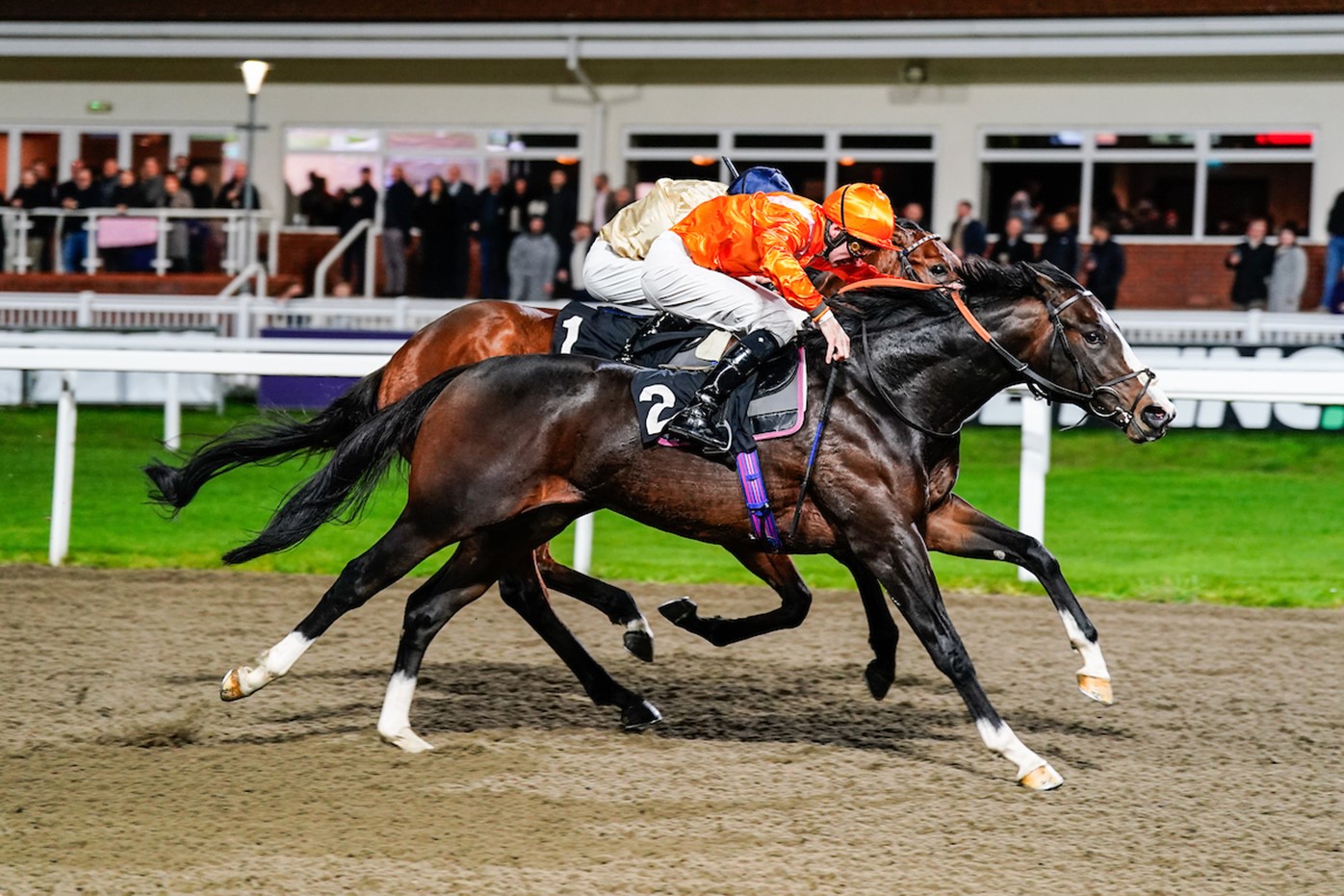 Rajeko winning at Chelmsford in December (Pic - Megan Coggin)