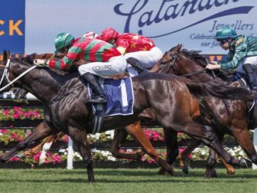 Rivellino (Jason Collett, outside) wins the Skyline Stakes at Randwick (Pic - Martin King/Sportpix)