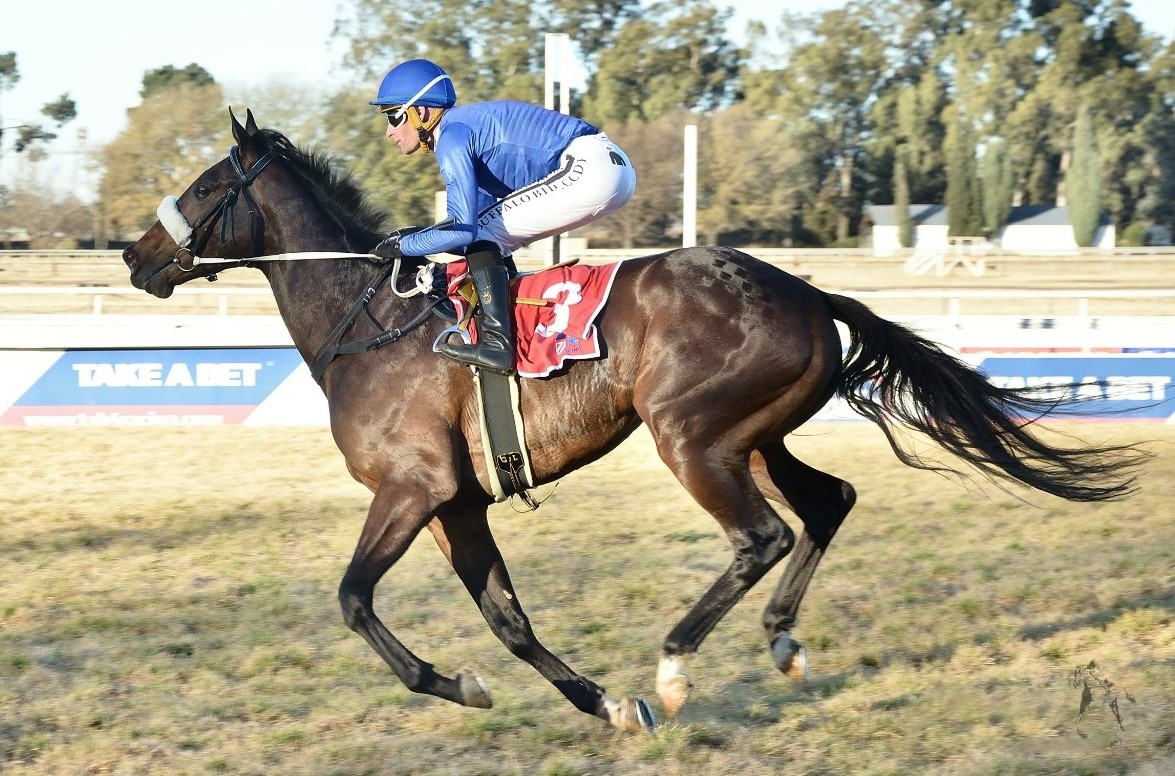 The Candy Man and Grand Crescendo (here under Gavin Lerena) can go one better today (Pic - JC Photos)