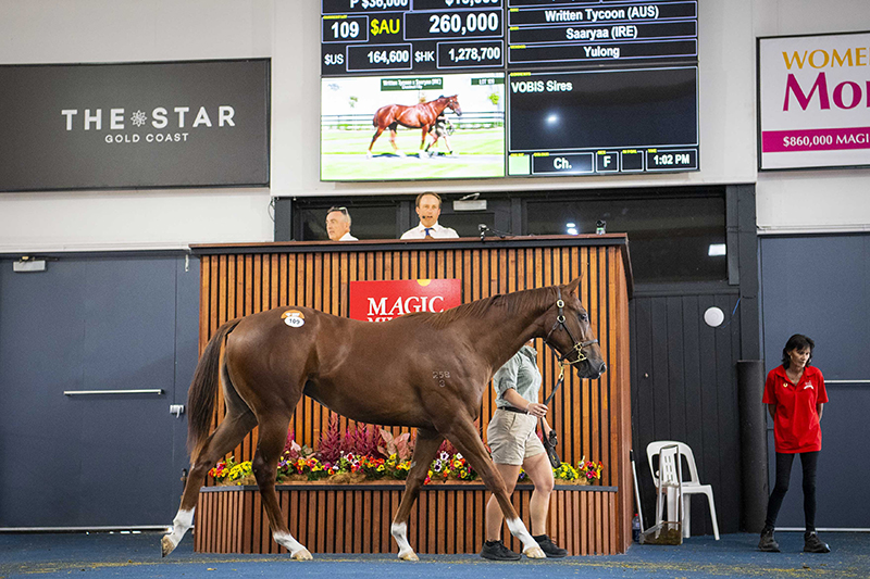 Written Tycoon filly sells for A$260,000 on Day 1 of sale (Pic - Magic Millions)