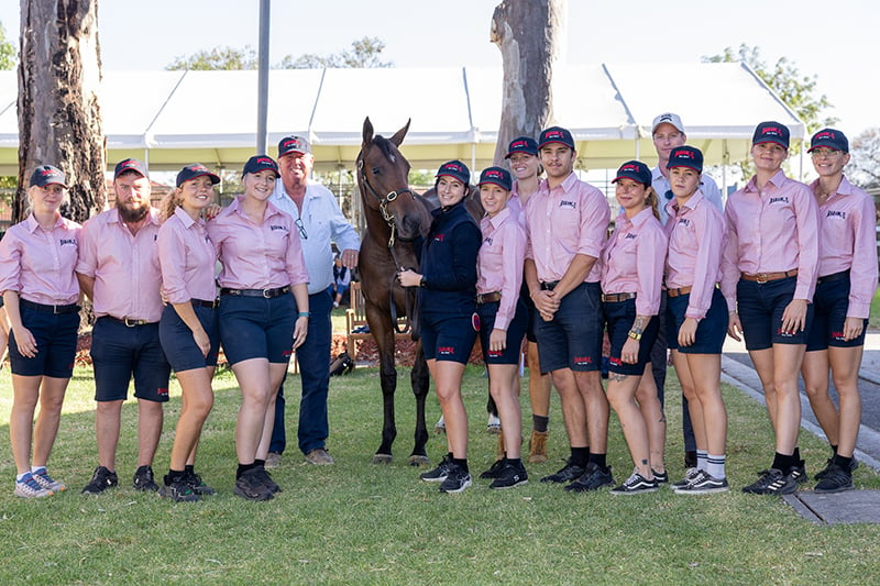 Zoustar filly is a sales topper (Pic - Magic Millions)